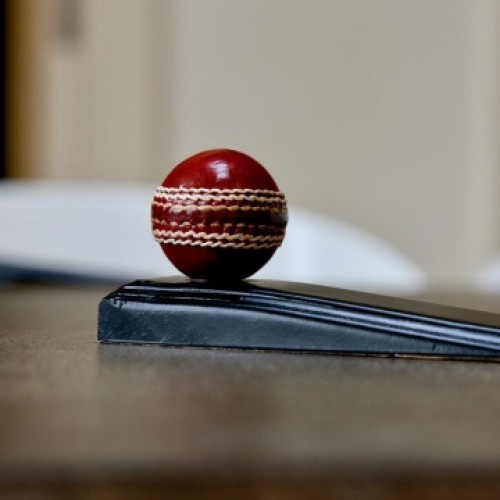 Cricket Ball Door Stop Cricket Ball Door Stop