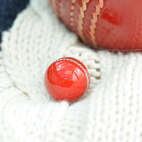 Cricket Lapel Pin Badge