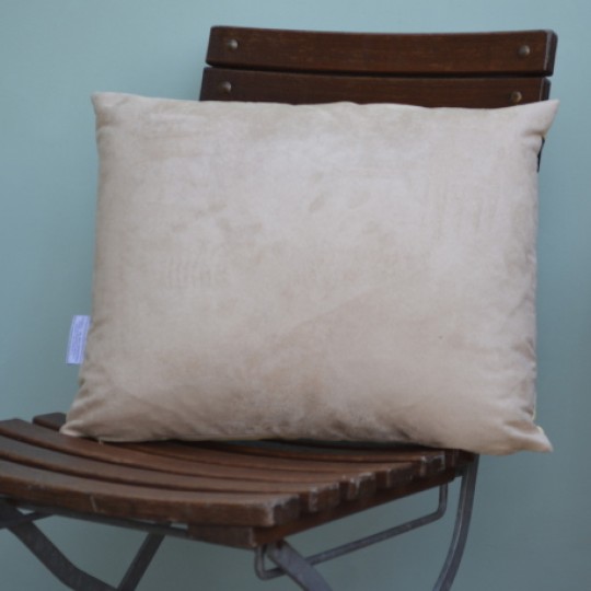 Cricket Test Series Cushion