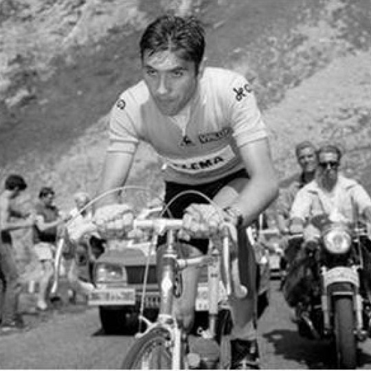 Eddy Merckx