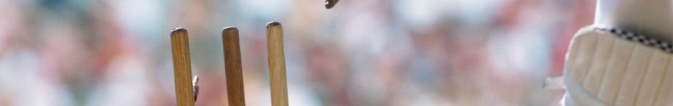 Cricket