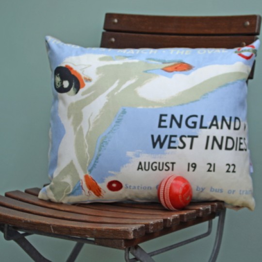 Cricket Test Series Cushion