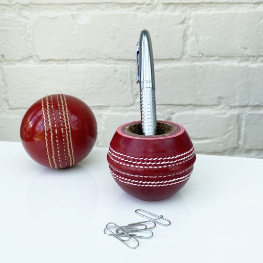 Flipper Cricket Ball Pencil Pot