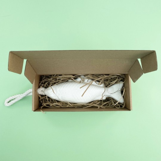 Fish Soap on a Rope