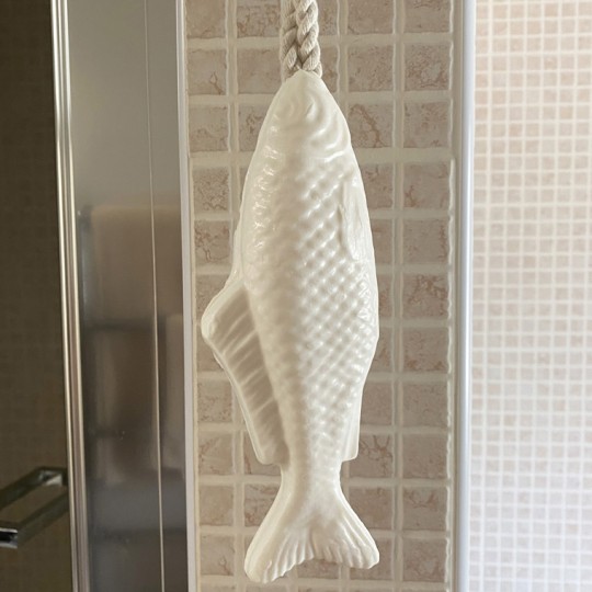 Fish Soap on a Rope