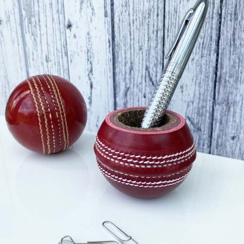 Flipper Cricket Ball Pencil Pot