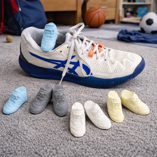 Stinky Feet Shoe and Sports Bag Air Fresheners