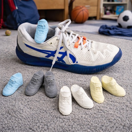 Stinky Feet Shoe and Sports Bag Air Fresheners